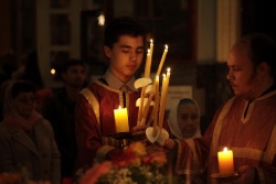 _MG_4831 - �����